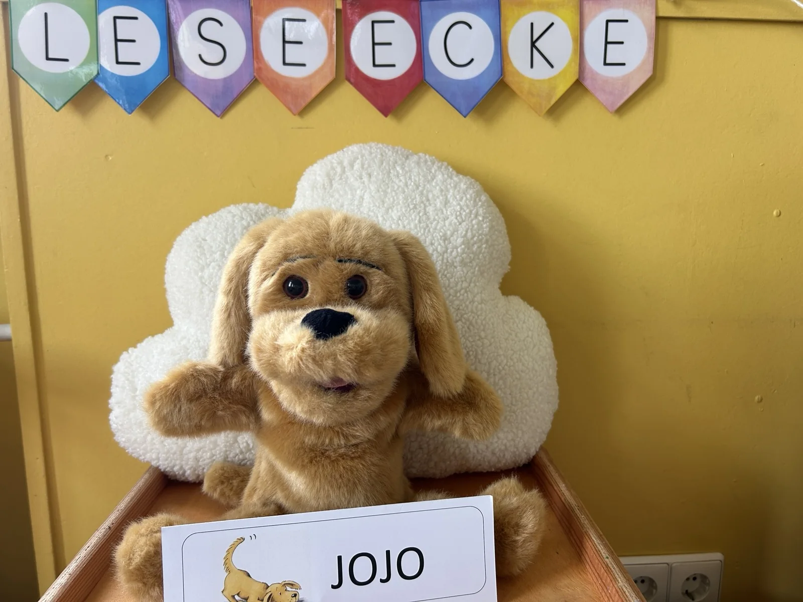 Jojo, das Klassentier der Hundeklasse 1a